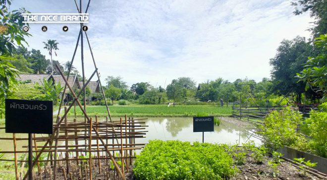 จุดประกายท่องเที่ยววิถีอินทรีย์