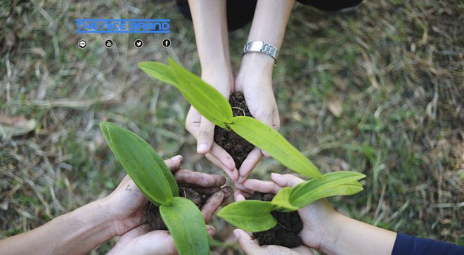 ซีพีเอฟ ผุดโครงการ”Sustainability in Action ยั่งยืนได้ ด้วยมือเรา” ชวนพนง.ลงมือสร้างโลกยั่งยืน