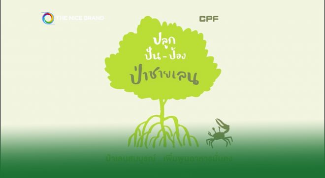 CPF “ปลูก ปัน ป้อง ป่าชายเลน” แข็งแกร่ง ขานรับ“วันป่าชายเลนแห่งชาติ”