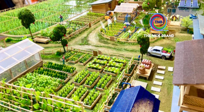 ”บุรีรัมย์เซอร์กิต”แก้จน-ลดเหลื่อมล้ำคนบุรีรัมย์