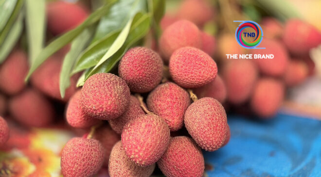 ท็อปส์ “หนุนผลไม้ไทย-ช่วยเกษตรกร” เปิดช่องทางตลาดเครือเซ็นทรัล