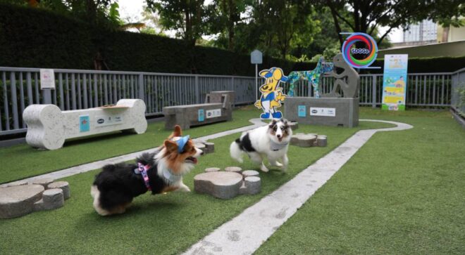 “รีกาลอส” ยืดอายุซองเปล่า เปลี่ยนขยะพลาสติกเป็นของเล่น “Pet Park”