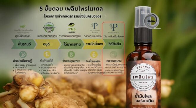 บ้านปู ขับเคลื่อน “BC4C” จุดพลังธุรกิจเพื่อสังคม สร้างโมเดลยั่งยืน กรณีศึกษา “เพลินไพร”