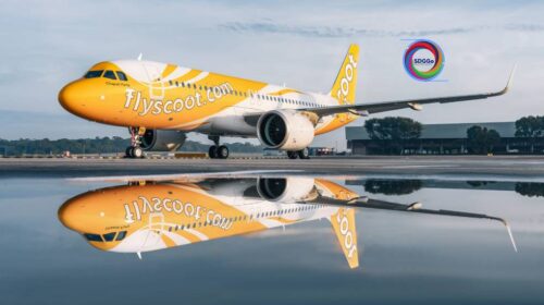 Scoot1