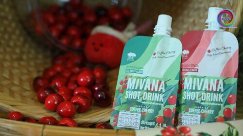 Mivana